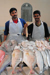 Kuwait city: fish market - happy fishmongers - photo by M.Torres