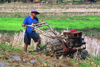 Laos: a ploughman in a rice field with a small tractor - photo by E.Petitalot