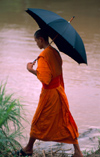 Laos - Luang Prabang / Louangphrabang - Monk with umbrella walks along the Mekong River - photo by K.Strobel