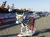 Latvia - Ventspils: exotic bovine by the grain terminal / Govis -  - cow parade created by Swiss-born artist Pascal Knapp (photo by A.Dnieprowsky)