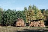 Latvia - Kuldiga region: the country life of Kurzeme - hay / Siena (Kuldigas Rajons - Kurzeme) (photo by A.Dnieprowsky)