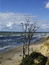 Latvia - Jurkalne: over the beach / juras krasts (Ventspils Rajons - Kurzeme) - photo by A.Dnieprowsky