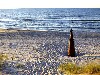 Latvia - Mikeltornis: on the beach / juras krasts (Vetspils Rajons - Kurzeme) - photo by A.Dnieprowsky
