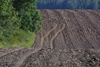 Latvia - Kurzeme - Ventspills Rajon: fields - photo by A.Dnieprowsky
