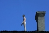 Latvia - Ventspils: naked on the roof - ventspils Arts School - Maksla Skola - project Top (photo by A.Dnieprowsky)