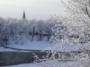 Latvia - Kuldiga / Goldingen (Kurzeme province): Christmas card - winter - snow - forest - spire - Venta river (Kuldigas Rajons) (photo by A.Dnieprowsky)