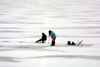 Latvia - Ventspils: ice fishing on the Venta river (photo by A.Dnieprowsky)