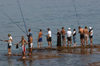Lebanon / Liban - Beirut: anglers - line of fishermen - photo by J.Wreford