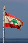 Lebanon / Liban - Beirut: old Lebanse flag in rusting pole (photo by J.Wreford)