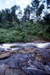 Grand Bassa County, Liberia, West Africa: stream in the jungle - rapids - photo by M.Sturges