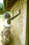 Grand Bassa County, Liberia, West Africa: woman decorating house with palm impression - Bassa tribe - photo by M.Sturges