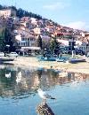 Macedonia / FYROM - Ohrid / OHD: gull - Unesco world heritage site   (photo by M.Torres)