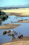 Toliara province, Madagascar: River Mandrare - trade near Fort Dauphin - photo by R.Eime