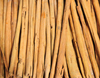 RN2, Atsinanana region, Toamasina Province, Madagascar: cinnamon quills drying - bark of Cinnamomum verum - photo by M.Torres