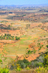 Ambohimanga Rova, Antananarivo-Avaradrano, Analamanga region, Antananarivo province, Madagascar: fields with the shape of the map of Madagascar - Imerina area - photo by M.Torres