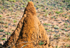 West coast road between the Manambolo river and Belon'i Tsiribihina, Toliara Province, Madagascar: termite mound - photo by M.Torres