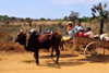 West coast road between the Manambolo river and Belon'i Tsiribihina, Toliara Province, Madagascar: Malagasy family on a zebu cart - photo by M.Torres