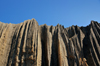 Tsingy de Bemaraha National Park, Mahajanga province, Madagascar: rock etched into channels and ridges known as tsingy - karst limestone formation - UNESCO World Heritage Site - photo by M.Torres