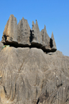 Tsingy de Bemaraha National Park, Mahajanga province, Madagascar: eroded rock atop the limestone massif - karst formation - UNESCO World Heritage Site - photo by M.Torres