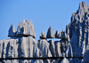 Tsingy de Bemaraha National Park, Mahajanga province, Madagascar: blocks carved with blades and sharp needles - karst limestone formation - UNESCO World Heritage Site - photo by M.Torres