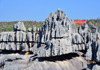 Tsingy de Bemaraha National Park, Mahajanga province, Madagascar: sharp limestone pinnacles - karst formation - UNESCO World Heritage Site - photo by M.Torres