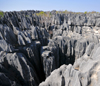 Tsingy de Bemaraha National Park, Mahajanga province, Madagascar: dense network of faults and crevices not for those with vertigo - karst topography - UNESCO World Heritage Site - photo by M.Torres