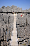 Tsingy de Bemaraha National Park, Mahajanga province, Madagascar: suspension bridge - karst limestone formation - UNESCO World Heritage Site - photo by M.Torres