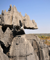 Tsingy de Bemaraha National Park, Mahajanga province, Madagascar: jagged pinnacles - karst limestone formation - UNESCO World Heritage Site - photo by M.Torres