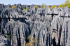 Tsingy de Bemaraha National Park, Mahajanga province, Madagascar: forest of limestone spikes - karstic  formation - UNESCO World Heritage Site - photo by M.Torres
