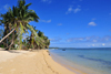 Vohilava, le Sainte Marie / Nosy Boraha, Analanjirofo region, Toamasina province, Madagascar: tropical beach under the coconut trees - photo by M.Torres
