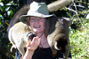 Perinet Reserve, near Andasibe, Toamasina Province, Madagascar: tourist enjoys an intimate moment with a pair of Brown Lemurs - Eulemur fulvus - Lemuridae family - photo by R.Eime