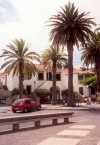 ilha do Porto Santo - Vila Baleira: under the palm trees - debaixo das palmeiras (image by M.Durruti)