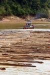 Rajang River, Sarawak, Borneo, Malaysia: a raft of floating timber makes its way downstream - these rafts are so large they often take up the entire width of the river - photo by R.Eime