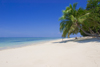 Sipadan Island, Sabah, Borneo, Malaysia: tropical sandy beach with palm trees - photo by S.Egeberg