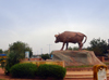 Bamako, Mali: buffalo on Sogolon square,  Kalabancoura - tribute to women, inspired in an ancient Mandingo legend - photo by M.Torres
