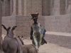 Mali - Bozo town: street scene - woman and donkeys - photo by A.Slobodianik