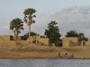 Mali - River Niger - Tombouctou region: mud houses under the palm trees - photo by A.Slobodianik