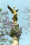 Mexico City: the Angel of Independence / memorias de Berlin - El Angel de la Independencia - Paseo de la Reforma (photo by M.Torres)