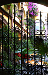 Mexico - San Miguel de Allende (Guanajuato): Hotel San Francisco - courtyard through grille (photo by R.Ziff)