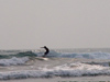 Mexico - Tampico: surfer on Escolera beach (photo by A.Caudron)