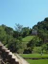 Mexico - Chiapas - Palenque (Chiapas): artificial hill - Unesco world heritage site  (photo by A.Caudron)