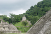 Mexico - Chiapas - Palenque (Chiapas): temple of the Sun - side view - Unesco world heritage site  (photo by A.Caudron)