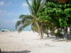 Mexico - Playa del Carmen / PCM (Quintana Roo state): beach (photo by A.Caudron)