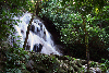Mexico - Palenque (Chiapas): Bao de la Reina waterfall - photo by A.Caudroon