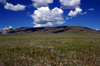 Khvsgl province, Mongolia: grasslands, on the way to Khvsgl Nuur - photo by A.Ferrari