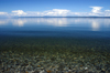 Khvsgl lake / Nuur, Khvsgl province, Mongolia: the clear water of Khvsgl lake - photo by A.Ferrari