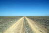 Mongolia - Gobi desert: the open road - photo by A.Summers