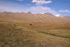 Mongolia - Yamatii valley: pasture - photo by A.Summers