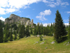 Montenegro - Crna Gora - Durmitor national park: trees on the slope - photo by J.Kaman