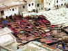 Morocco / Maroc - Fez: the tanneries - Leather dyeing vats in Fes - photo by J.Kaman